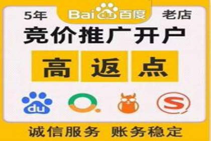 某某sem推广公司实战案例：精准投放提升转化率